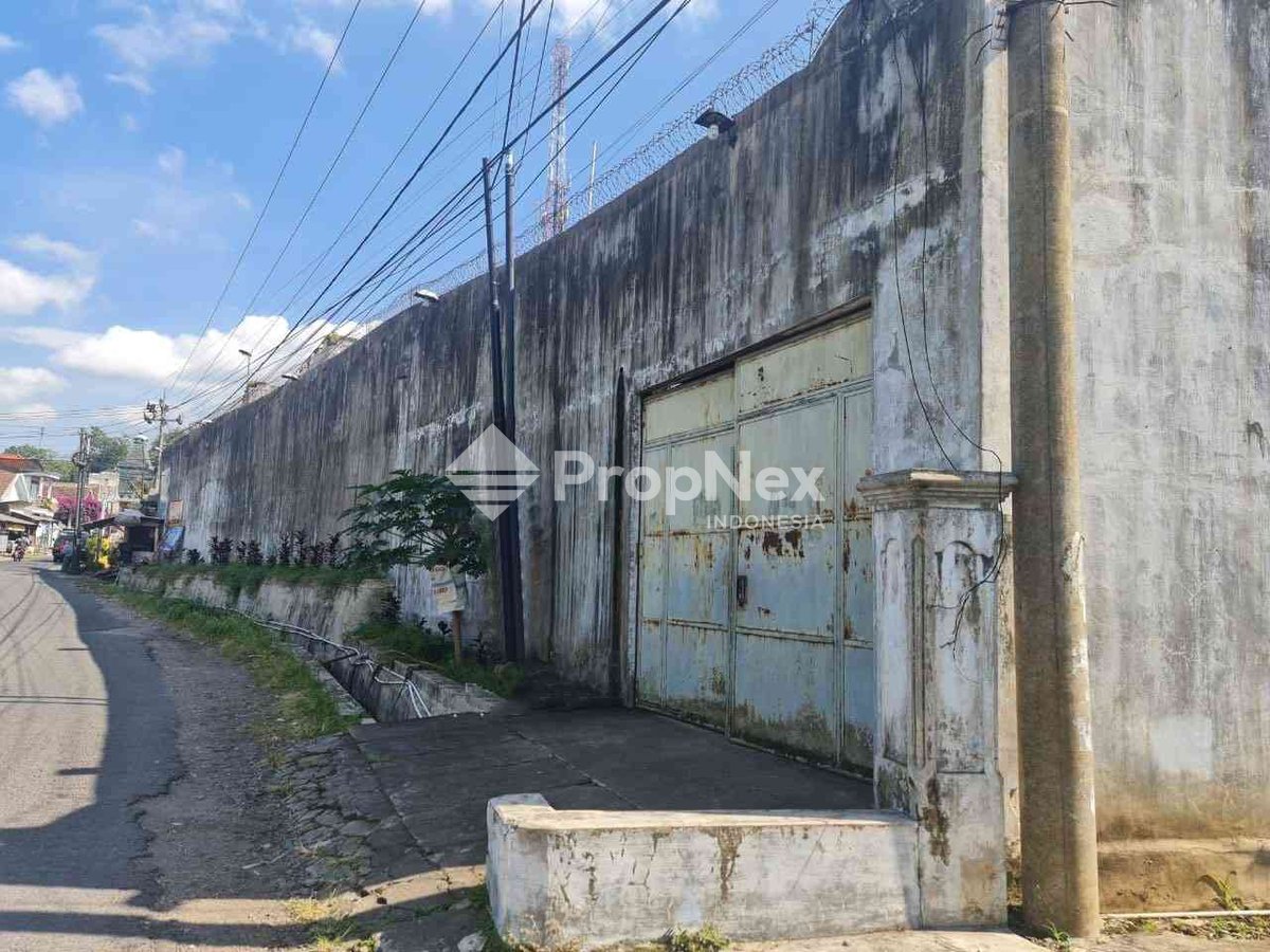 Rumah Sarang Burung Walet Lumajang (LN)